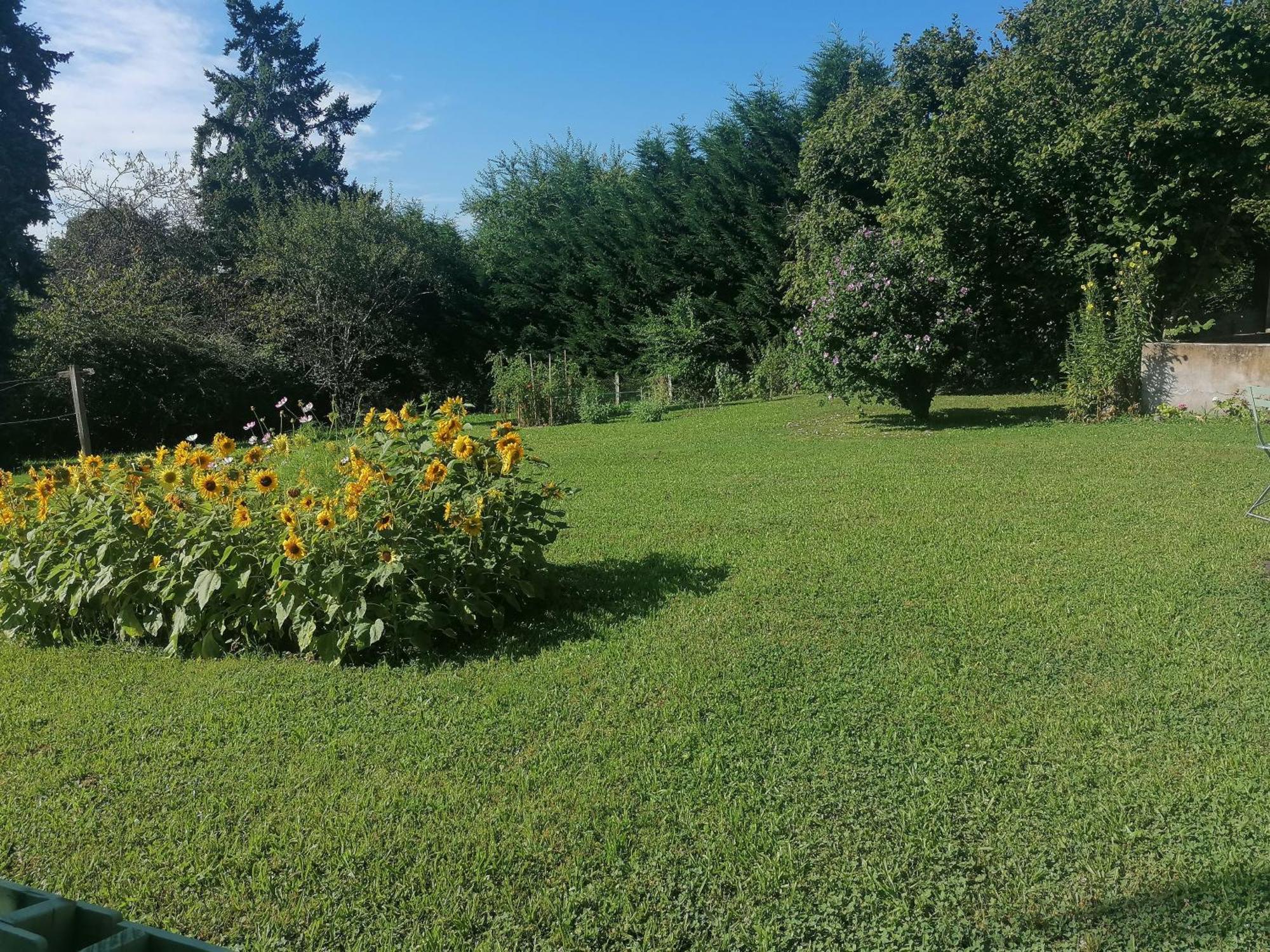 Petite Maison Dans Le Morvan Luzy Exterior foto